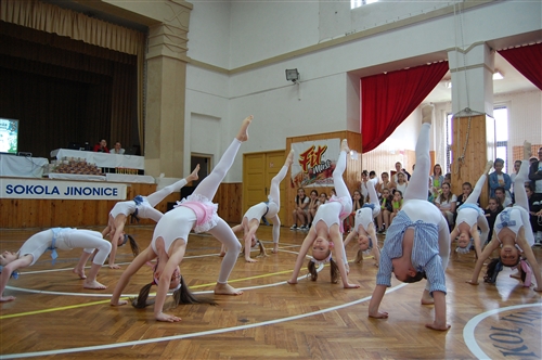 Obrázek v galerii