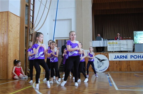 Obrázek v galerii