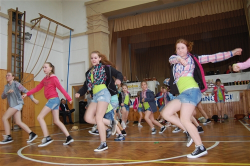 Obrázek v galerii