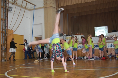 Obrázek v galerii