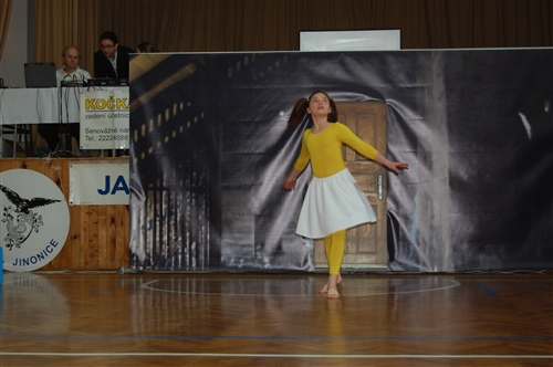 Obrázek v galerii