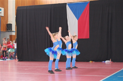 Obrázek v galerii
