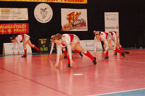 Obrázek v galerii