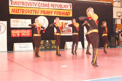Obrázek v galerii