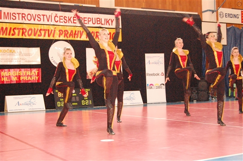 Obrázek v galerii