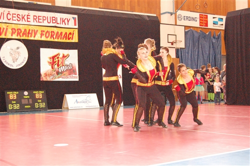 Obrázek v galerii