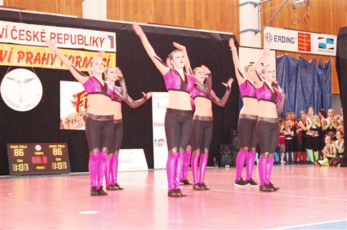 Obrázek v galerii