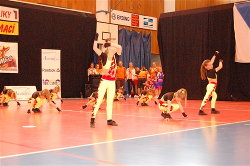 Obrázek v galerii