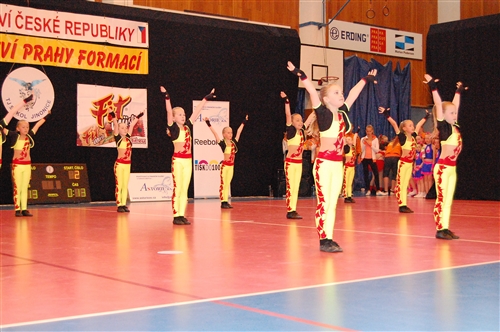 Obrázek v galerii