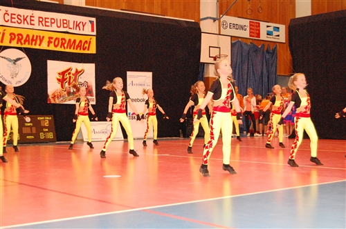 Obrázek v galerii