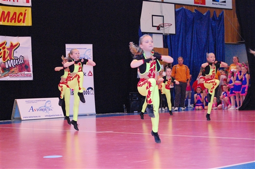 Obrázek v galerii