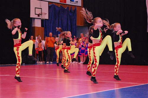 Obrázek v galerii