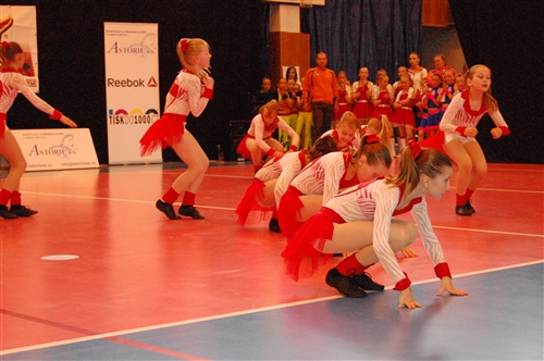 Obrázek v galerii