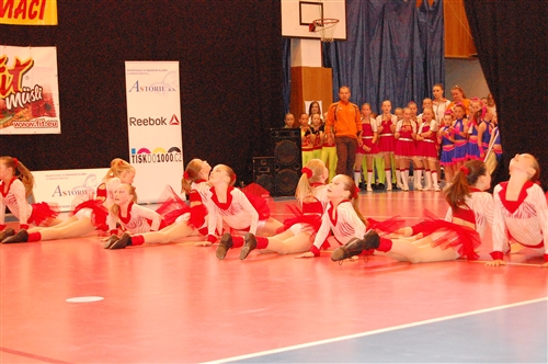 Obrázek v galerii