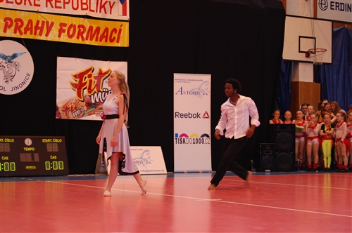 Obrázek v galerii