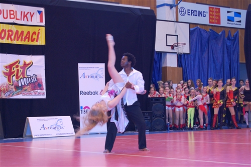 Obrázek v galerii