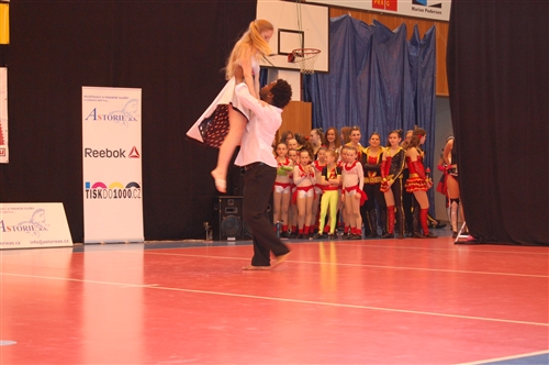 Obrázek v galerii
