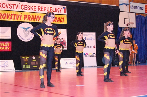 Obrázek v galerii