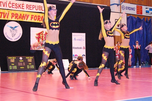 Obrázek v galerii