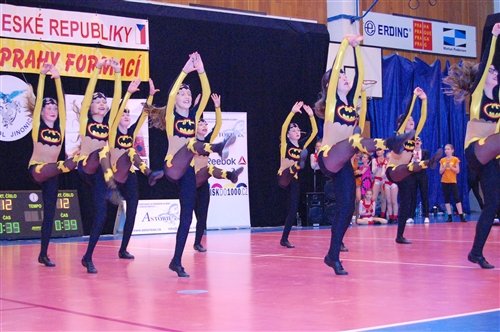 Obrázek v galerii