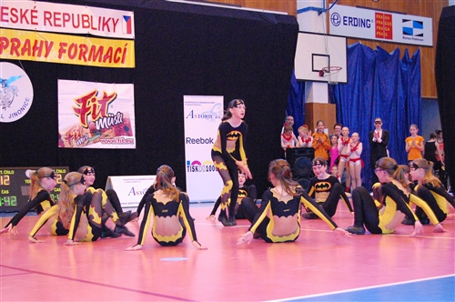 Obrázek v galerii