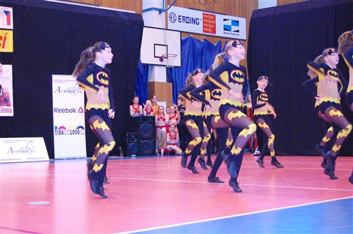 Obrázek v galerii