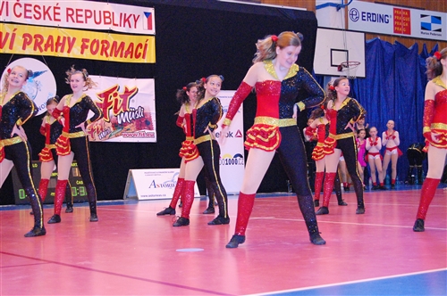 Obrázek v galerii