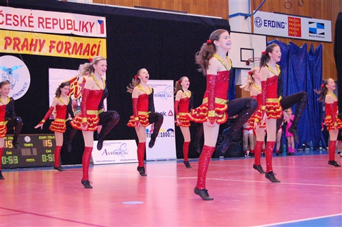 Obrázek v galerii
