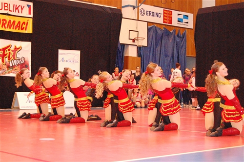 Obrázek v galerii