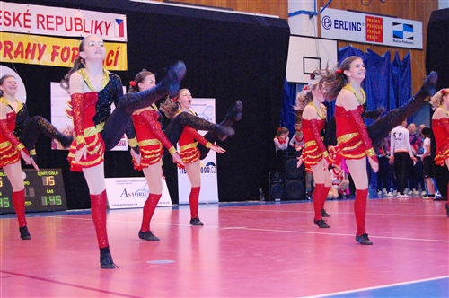 Obrázek v galerii
