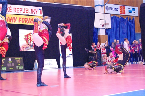 Obrázek v galerii