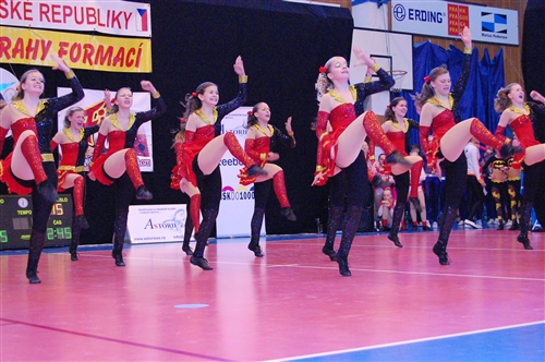 Obrázek v galerii