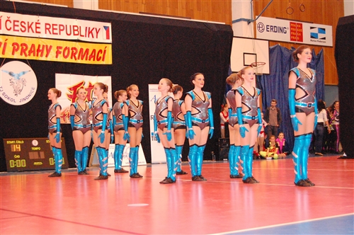 Obrázek v galerii