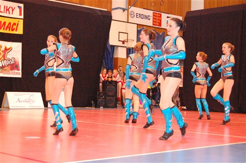 Obrázek v galerii