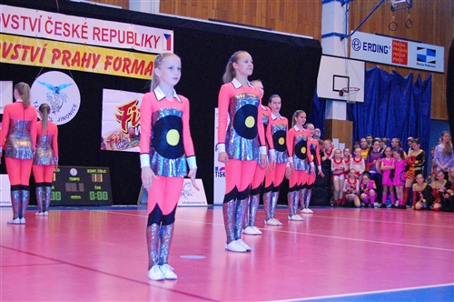 Obrázek v galerii