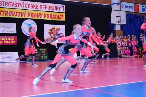Obrázek v galerii