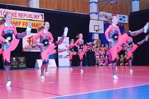 Obrázek v galerii