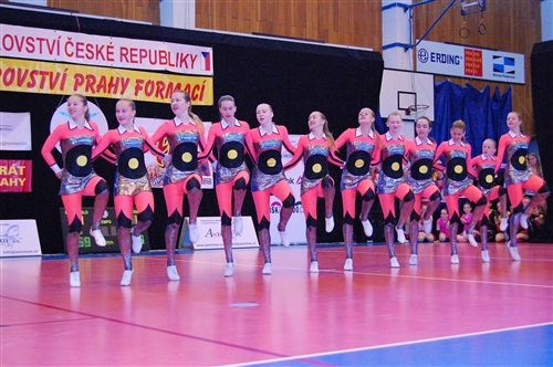 Obrázek v galerii