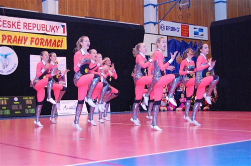 Obrázek v galerii