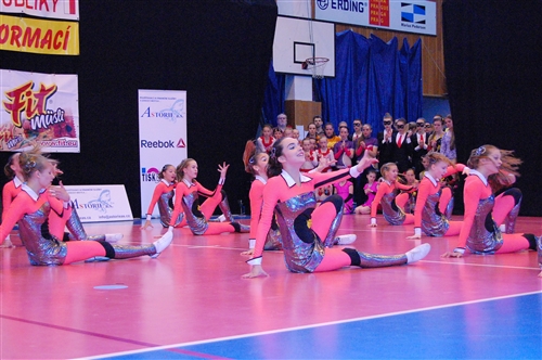 Obrázek v galerii