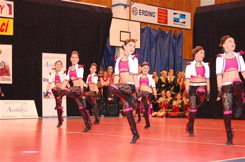 Obrázek v galerii