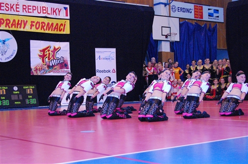 Obrázek v galerii