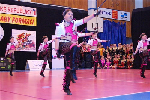 Obrázek v galerii