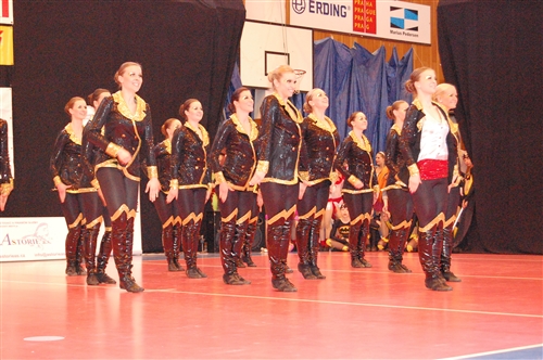 Obrázek v galerii