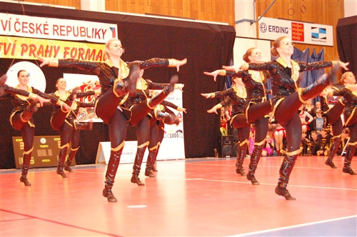 Obrázek v galerii