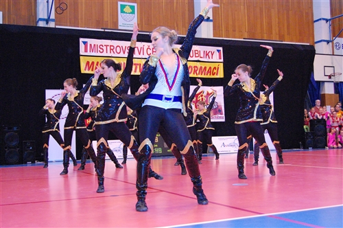 Obrázek v galerii
