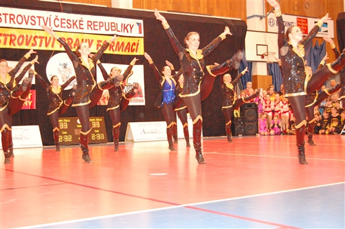 Obrázek v galerii