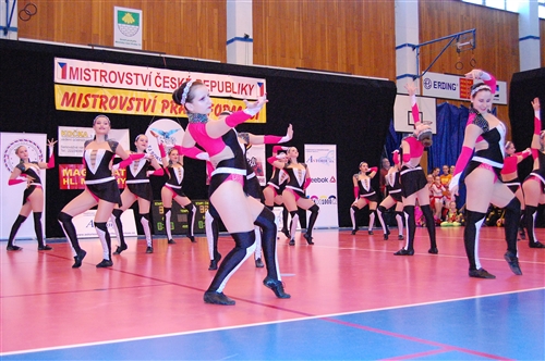 Obrázek v galerii