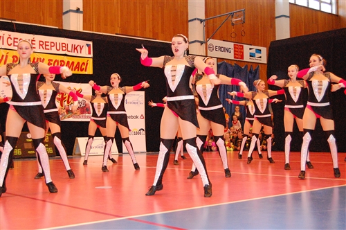 Obrázek v galerii