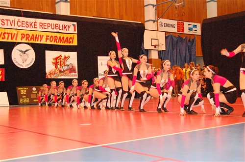 Obrázek v galerii